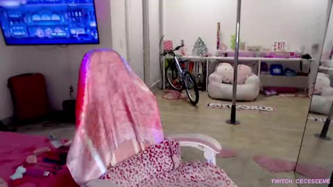 Cece  NEXT LIVESTREAM -- DEC. 4th  7 PM CST online show from April 1, 2026, 4:13 am