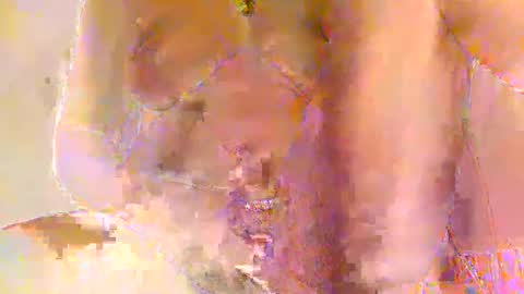 Priscilla online show from February 27, 2026, 4:34 am