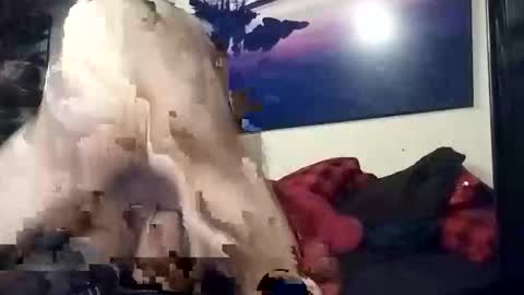 Snapshot of properttw chatting on October 13, 2025, 4:29 pm properttw online show from October 13, 2025, 4:29 pm