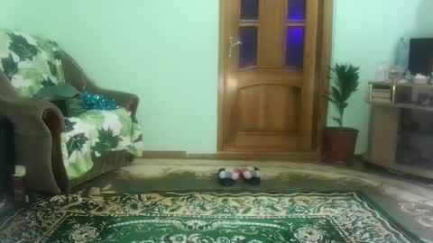 Snapshot of proud_sweet_21 chatting on December 21, 2024, 4:57 pm proud sweet 21 online show from December 21, 2024, 4:57 pm