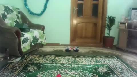 Snapshot of proud_sweet_21 chatting on January 3, 2025, 9:47 pm proud sweet 21 online show from January 3, 2025, 9:47 pm