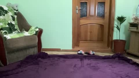 Snapshot of proud_sweet_21 chatting on September 8, 2025, 9:58 pm proud sweet 21 online show from September 8, 2025, 9:58 pm