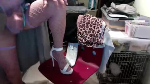 prrysport123 online show from February 12, 2026, 10:10 am