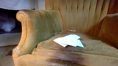 pspee313 online show from February 28, 2026, 2:40 pm