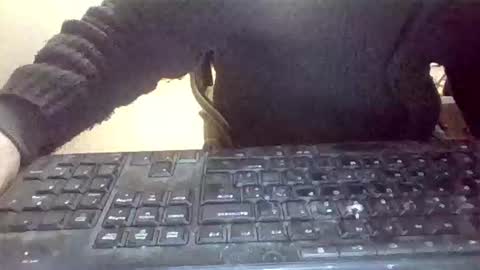 pup_y online show from January 31, 2026, 7:11 pm