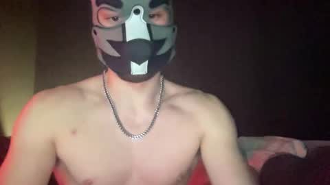 puptravel online show from January 14, 2026, 3:01 am