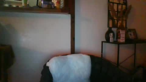 Python online show from July 31, 2026, 2:33 am