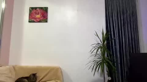 Snapshot of queen_chatur chatting on January 28, 2025, 12:32 pm Viktoria online show from January 28, 2025, 12:32 pm