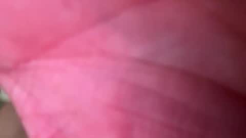 Snapshot of ragerd420 chatting on February 24, 2026, 11:14 pm ragerd420 online show from February 24, 2026, 11:14 pm