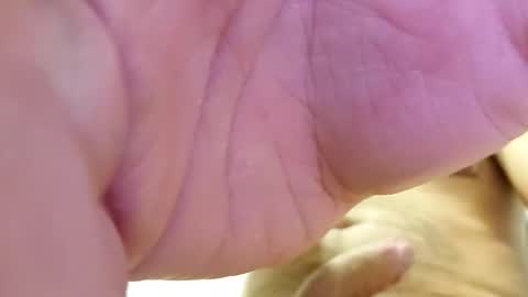 Snapshot of raidehot chatting on October 21, 2025, 11:44 am raidehot online show from October 21, 2025, 11:44 am