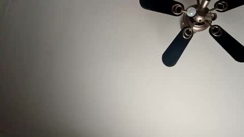 randallcody15 online show from January 6, 2025, 9:11 pm