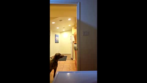 randmorty4 online show from January 15, 2026, 4:28 am