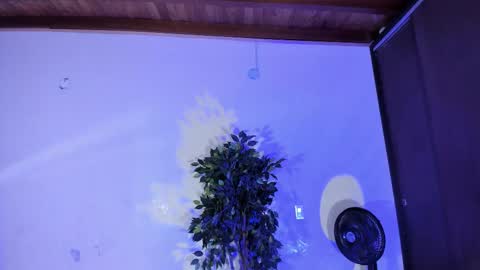 randy online show from November 29, 2025, 7:17 pm