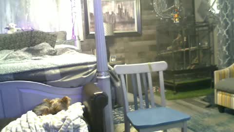 Randy8inbater online show from June 15, 2026, 2:03 am