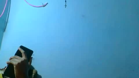 rasoelysca online show from March 1, 2026, 4:47 am