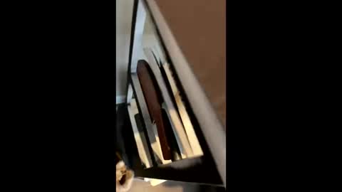 Snapshot of ravenxbeastie chatting on February 17, 2025, 8:58 pm ravenxbeastie online show from February 17, 2025, 8:58 pm