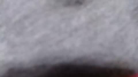 ready2fuk647232 online show from November 2, 2025, 9:44 am