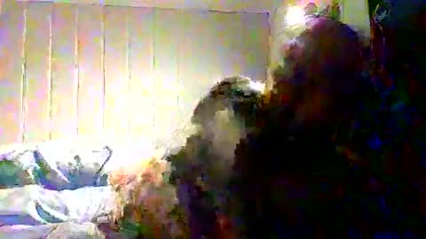 real_viking1 online show from November 22, 2025, 8:13 am