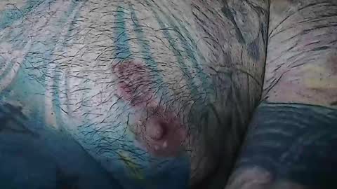 realrubpirate online show from January 11, 2026, 9:36 am