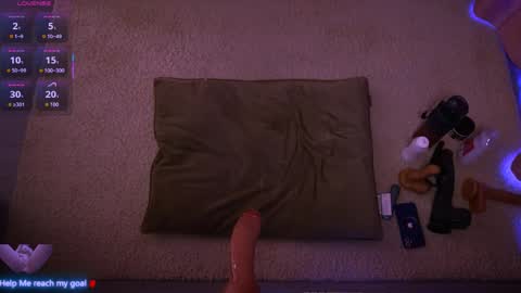 Redhead Shark online show from April 14, 2026, 12:22 pm