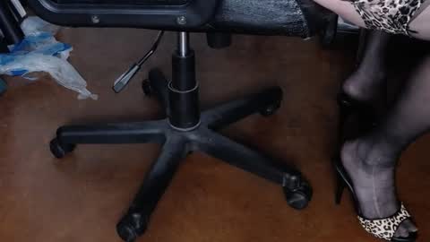 Snapshot of regnerfsky chatting on January 26, 2025, 9:40 pm RegNerfsky online show from January 26, 2025, 9:40 pm