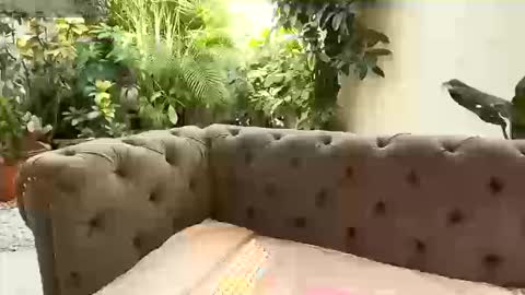 S T A C Y online show from September 13, 2025, 1:22 pm