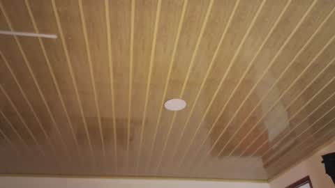 renaxi_smith online show from December 20, 2025, 7:32 pm