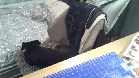 reunionussr online show from November 16, 2025, 4:45 pm