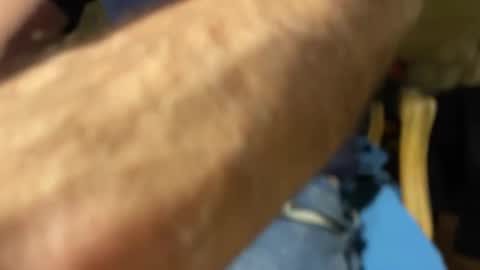 Snapshot of revoiralynch chatting on October 2, 2025, 1:23 am SonnyXXX online show from October 2, 2025, 1:23 am