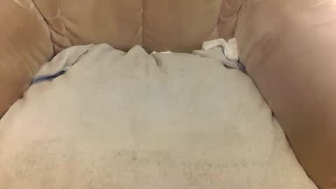 Mark online show from March 22, 2026, 8:07 am