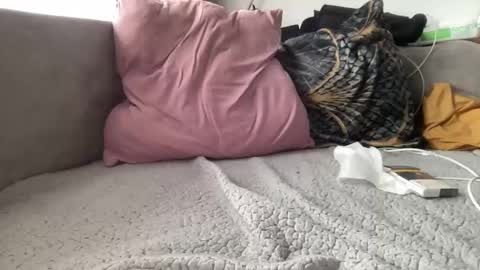 reyna77 online show from January 22, 2025, 9:46 am