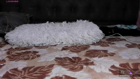 reyna77 online show from May 20, 2026, 7:42 pm
