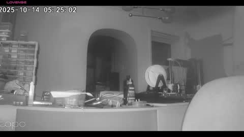 Snapshot of reza240782 chatting on October 14, 2025, 4:24 am reza240782 online show from October 14, 2025, 4:24 am