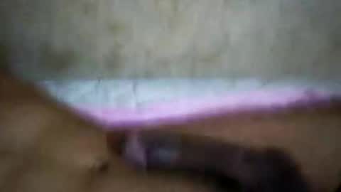 rica1234567890961640 online show from October 21, 2025, 5:19 am