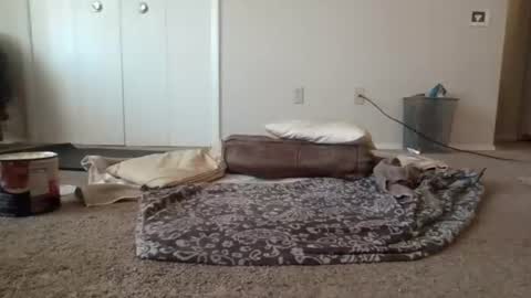 rickydickyskull online show from June 23, 2026, 6:17 pm