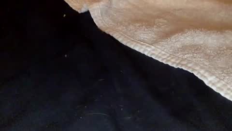 rimalova online show from December 20, 2025, 1:45 am