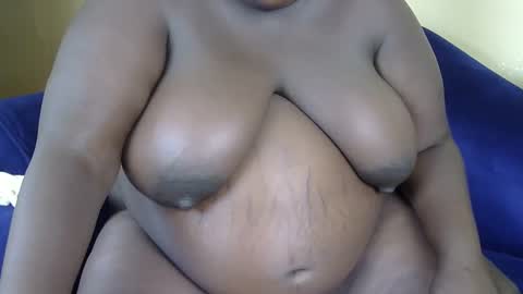 cookie online show from December 20, 2024, 9:54 am