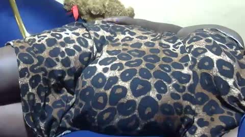 cookie online show from December 29, 2024, 5:12 pm