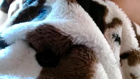 risingphoenix23 online show from April 19, 2026, 10:12 pm