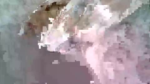 ritto44 online show from April 9, 2026, 9:47 am