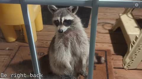 Ryan aka KeylimeRy online show from February 28, 2025, 11:36 am