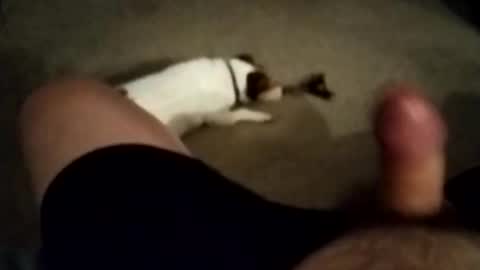 robbiebob6828 online show from November 27, 2025, 6:04 am