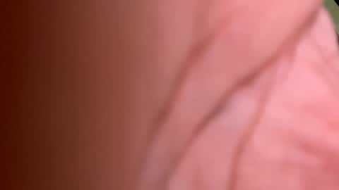 roberto925 online show from January 10, 2025, 7:11 pm