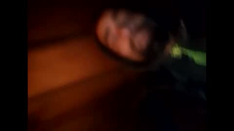 R online show from January 28, 2025, 4:50 am