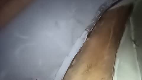 R online show from October 1, 2025, 4:29 am