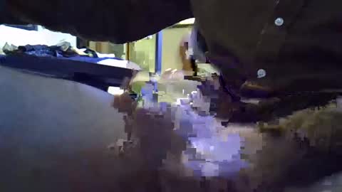 Snapshot of rocco981980 chatting on January 8, 2025, 12:06 am rocco981980 online show from January 8, 2025, 12:06 am