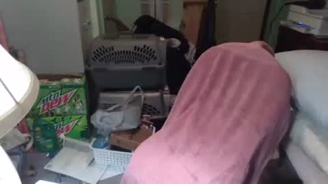 rocky082288 online show from November 25, 2025, 10:26 am