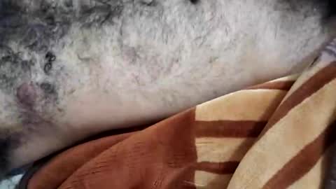 Snapshot of rockyp2025 chatting on March 3, 2025, 12:05 pm rockyp2025 online show from March 3, 2025, 12:05 pm