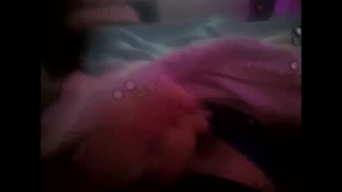 rollino83 online show from October 24, 2025, 10:06 pm