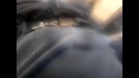 rollino83 online show from November 9, 2025, 8:45 am